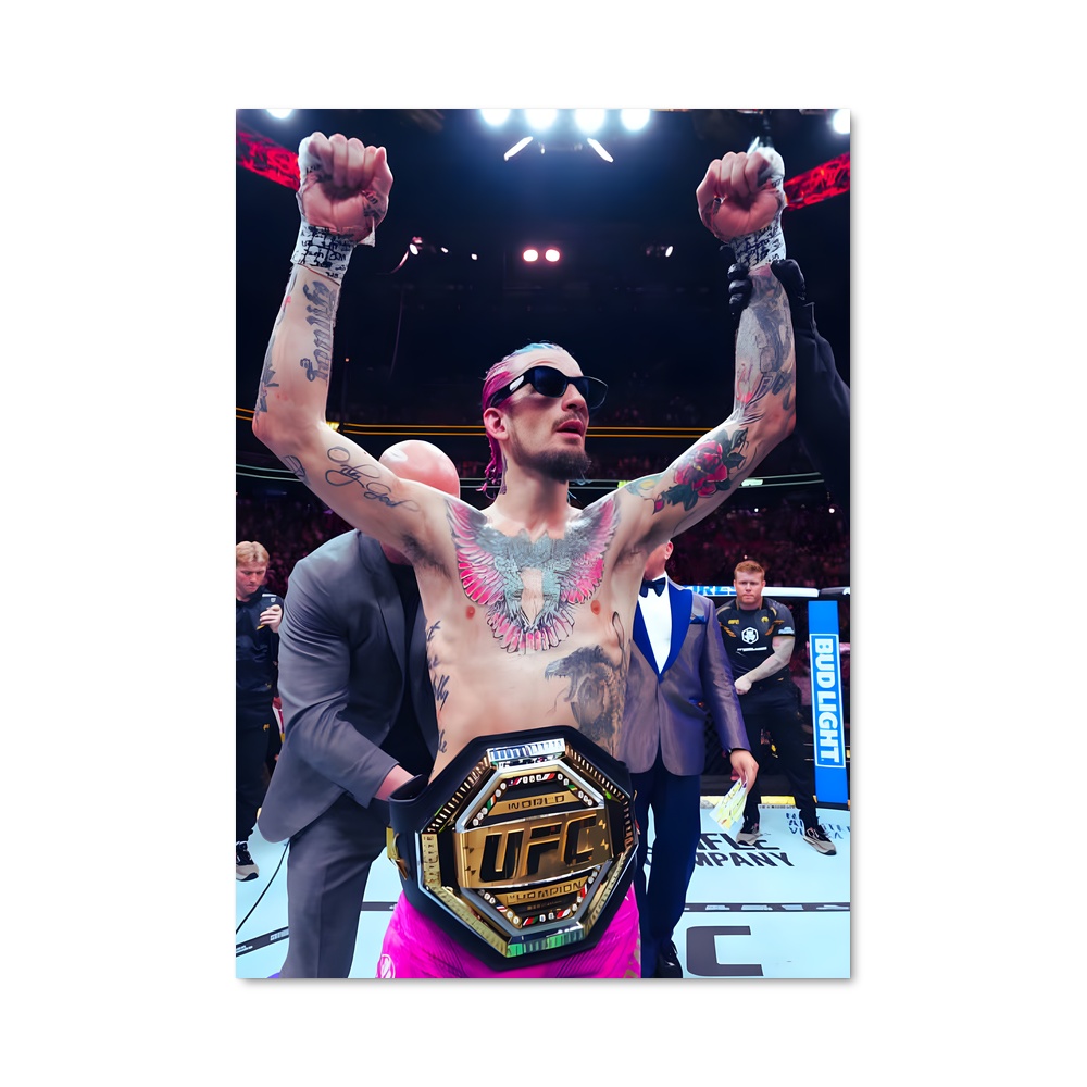Poster Champion Émérite – affiche MMA